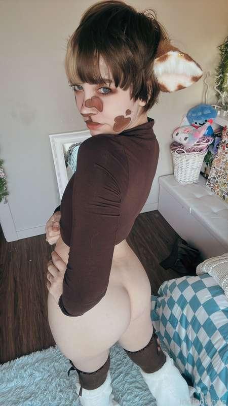 indigowhite image #243