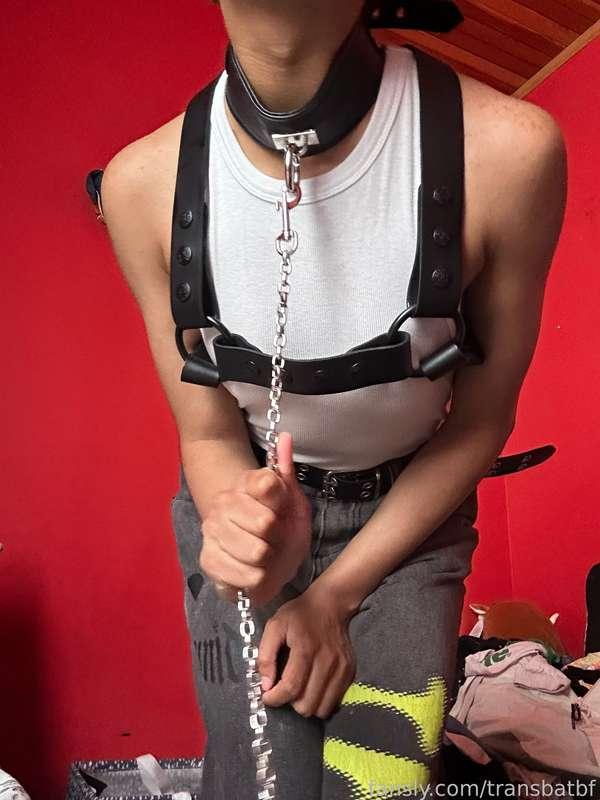transbatbf image #27