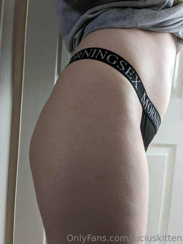 luciuskitten image #4