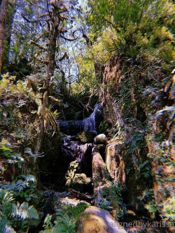 Beautiful waterfalls 💦
This spot was so cool! I swam in the ..