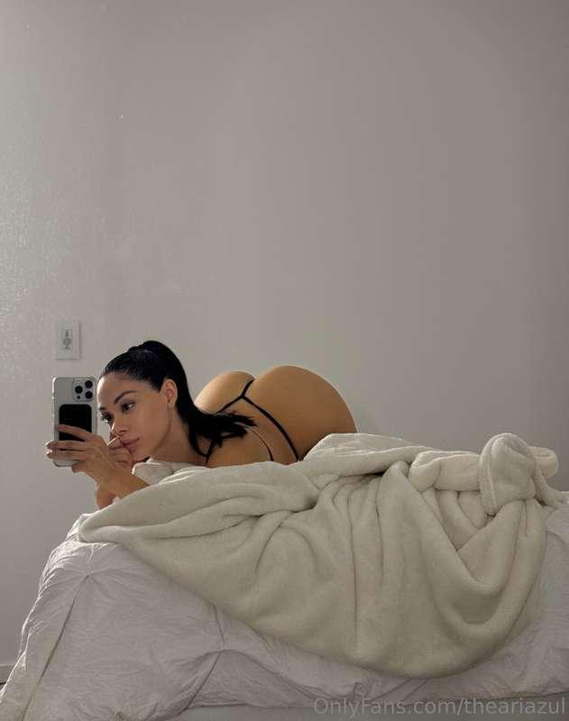 theariazul main image