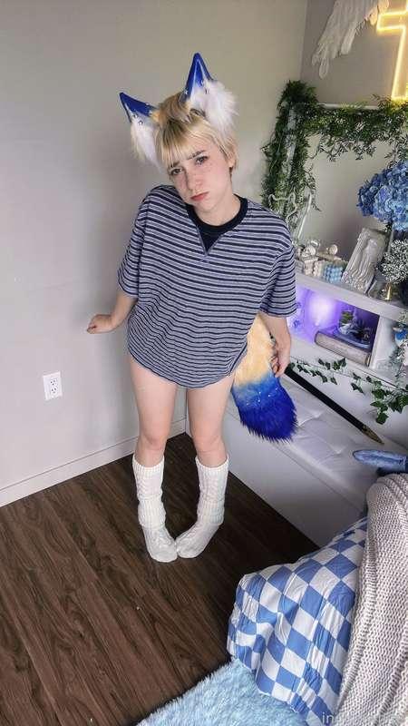 indigowhite image #113