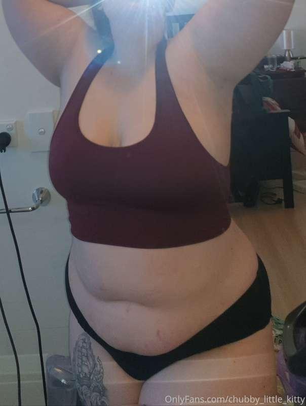 chubby_little_kitty image #0