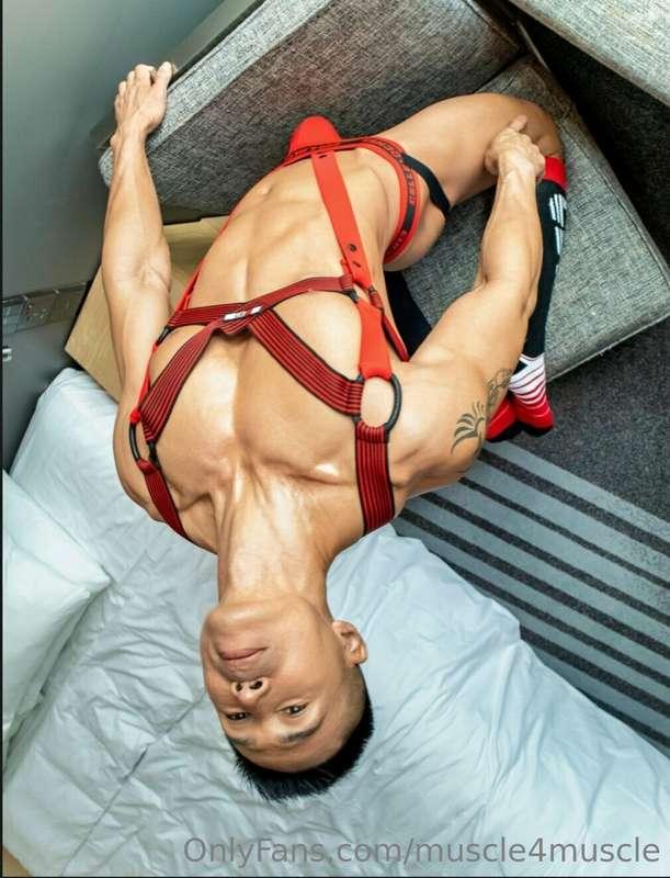 muscledaddykvef image #5