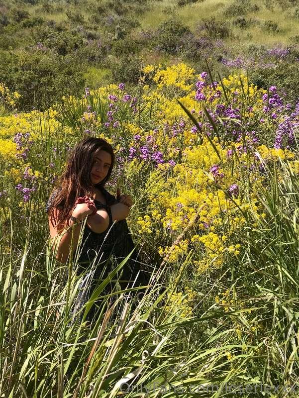 always in the wild flowers