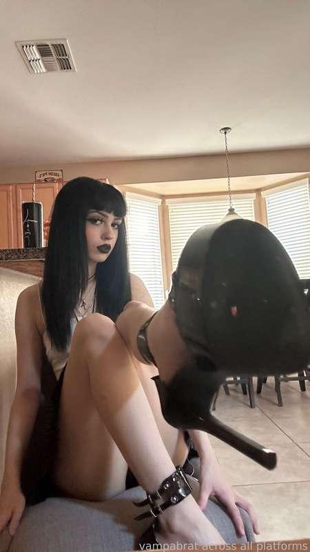 madamzombodomme image #3