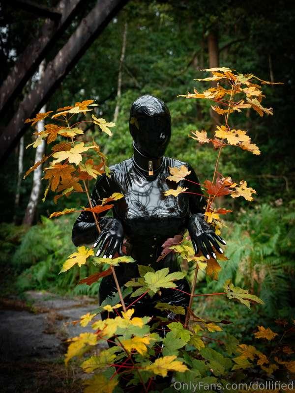 Rubber in the wild