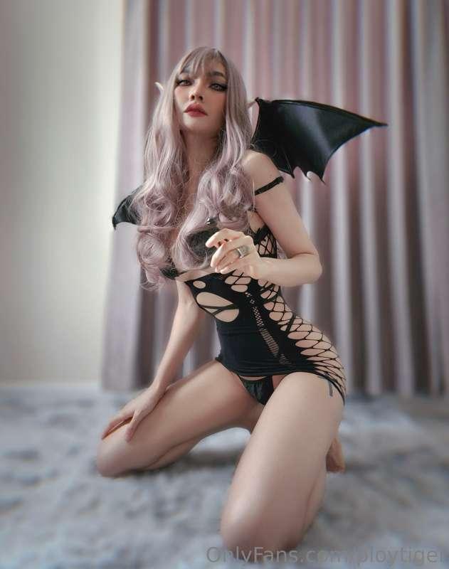 ploytiger image #2