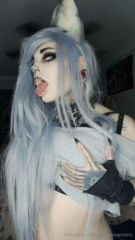 mzmeowmers image #1