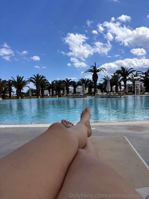 🐬