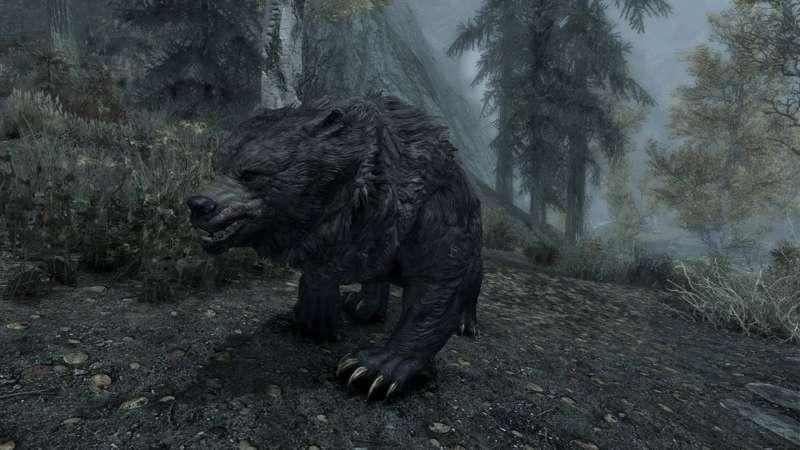 New Exclusive! Andara Meets Bear In The Woods.
