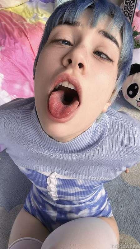 indigowhite image #117