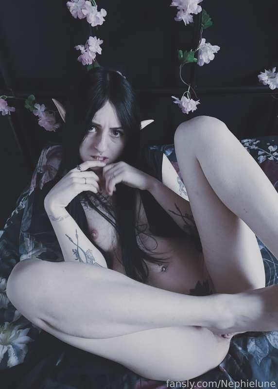 nephielune image #0