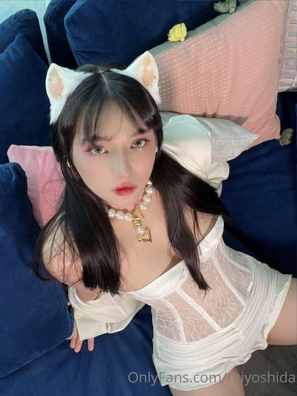 good kitty 😉