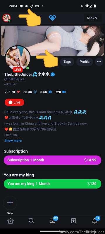 thelittlejuicer image #0