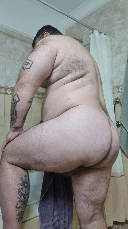 bearpamp image #0