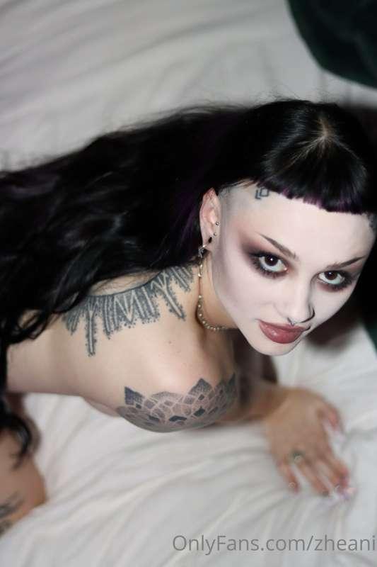 zheani image #3