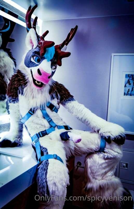 This bathroom isn't quite big enough to contain me, but mayb..