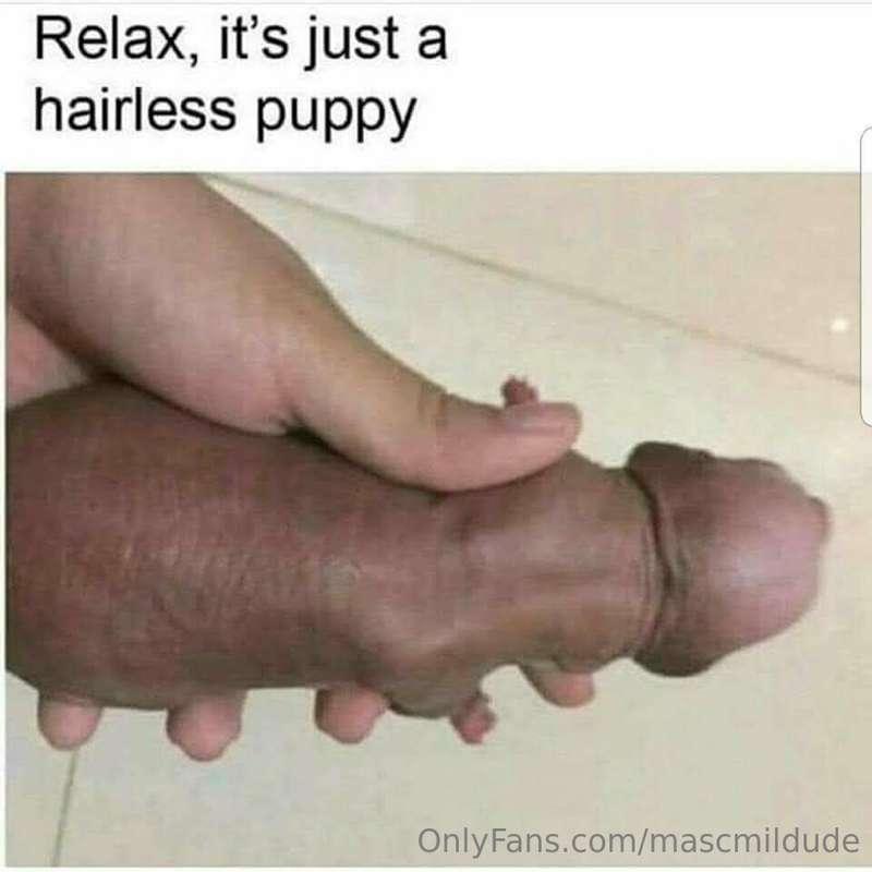 Relax... lol

#masmildude
