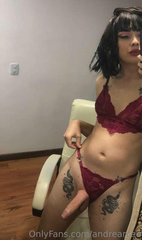 andretransgirl image #1