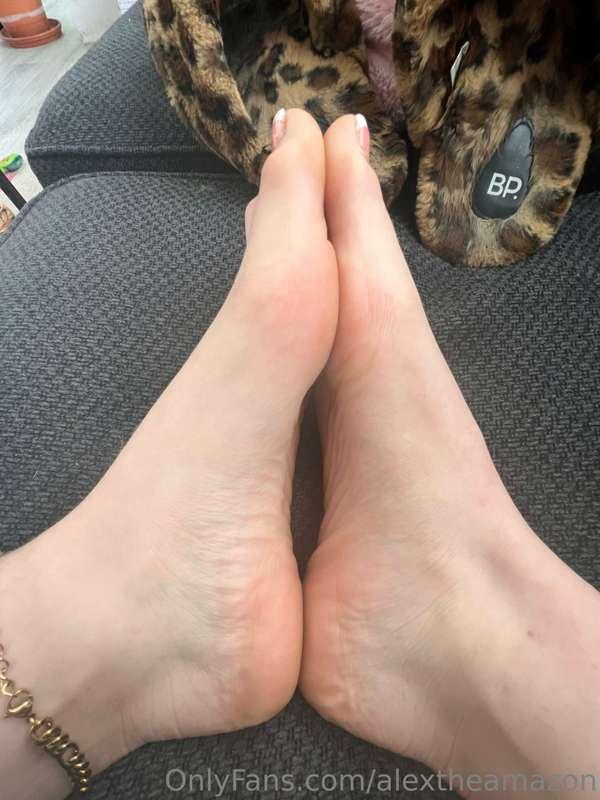 alextheamazon image #1