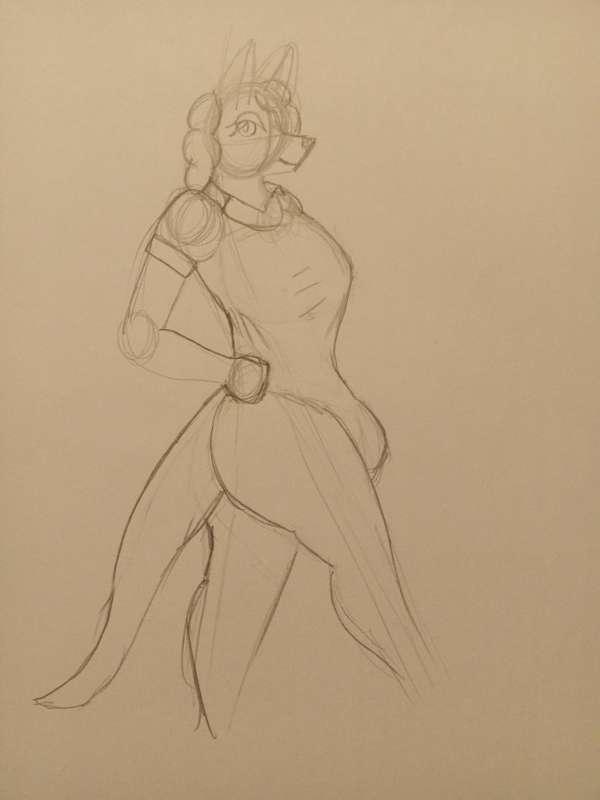 Charlotte - Fancy Leotard