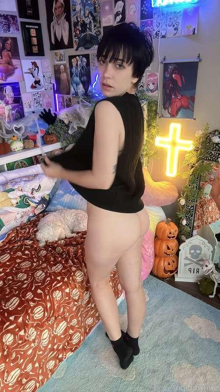 indigowhite image #155