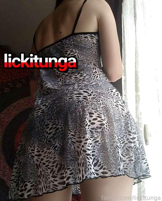 lickitunga image #7