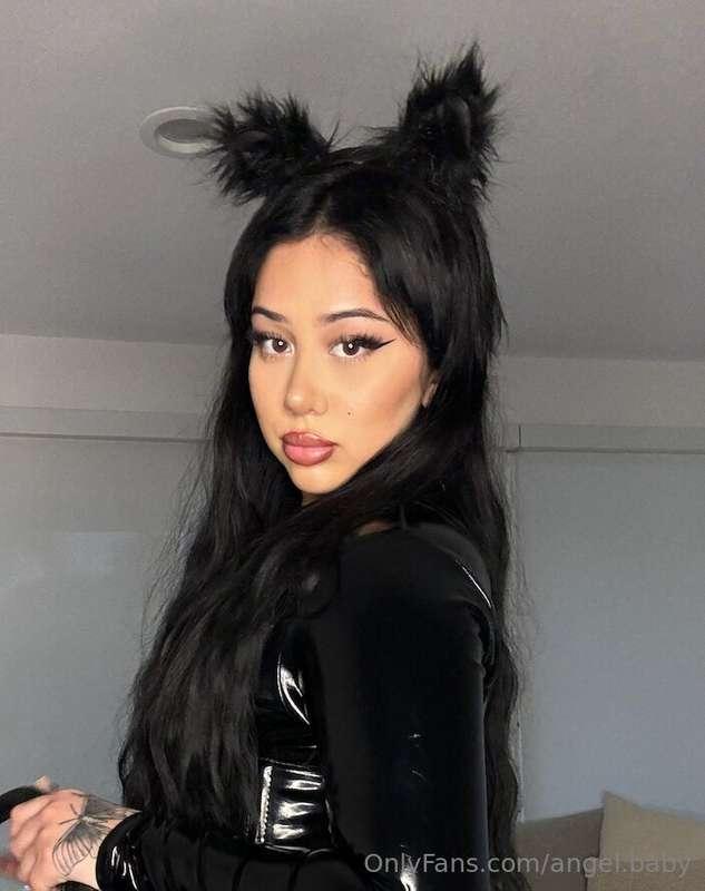 meow.