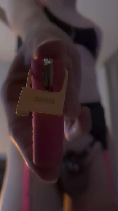 stephsis image #0