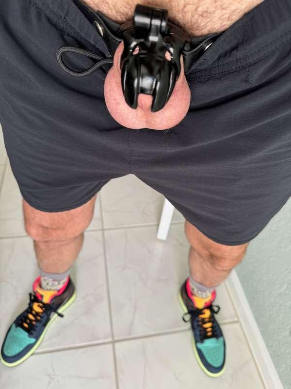 Cuck is loving his new Viper cage so much that he hasn't ask..