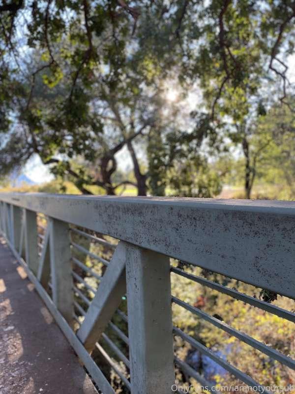 Photo dump from my Morning Run!