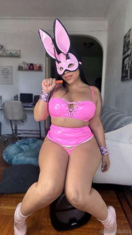 🐰Back or front 🐰