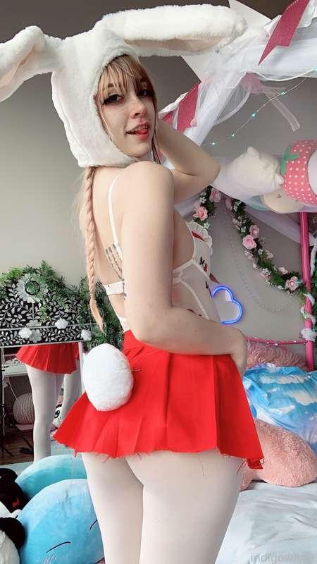 indigowhite image #139