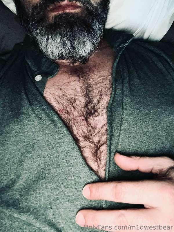 m1dwestbear image #4