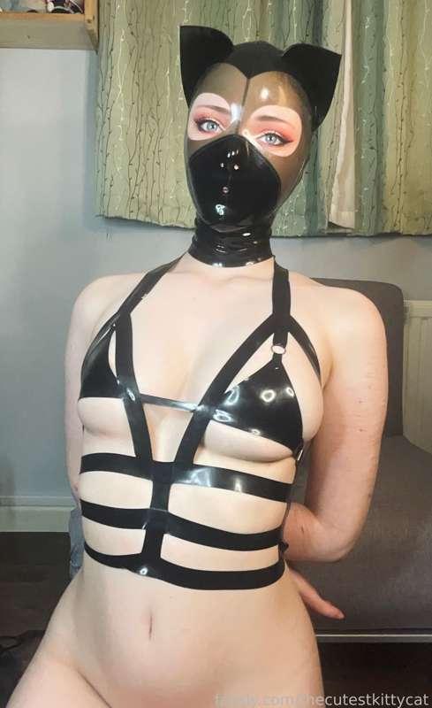 thecutestkittycat image #21