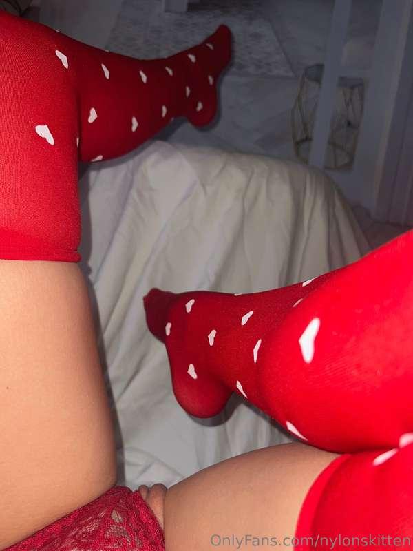 nylonskitten image #0
