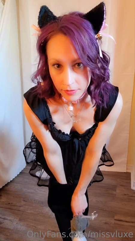 🎃 Happy Meowlloween 🐈‍⬛

Full video in your DM 😘