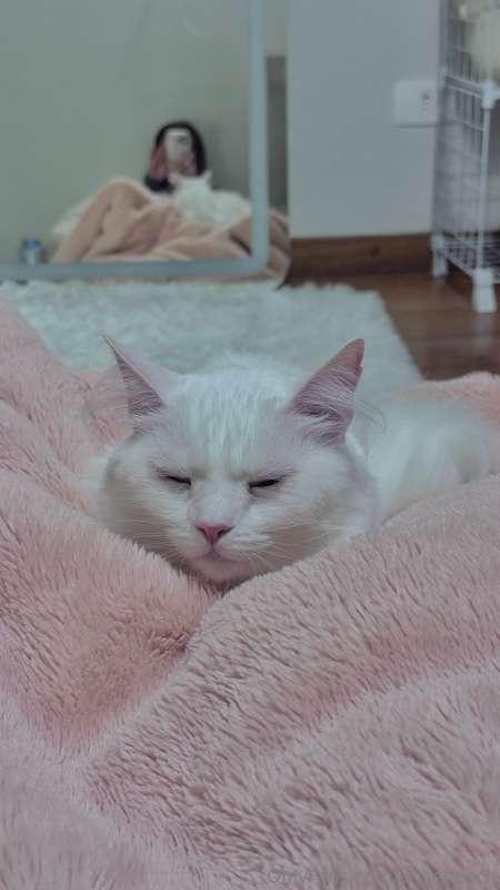 Yuki’s so cute 🥰 If I let her, she would sleep on top of me ..