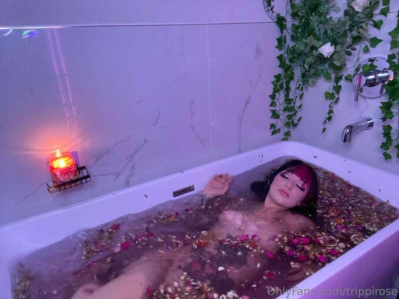 trippirose image #10