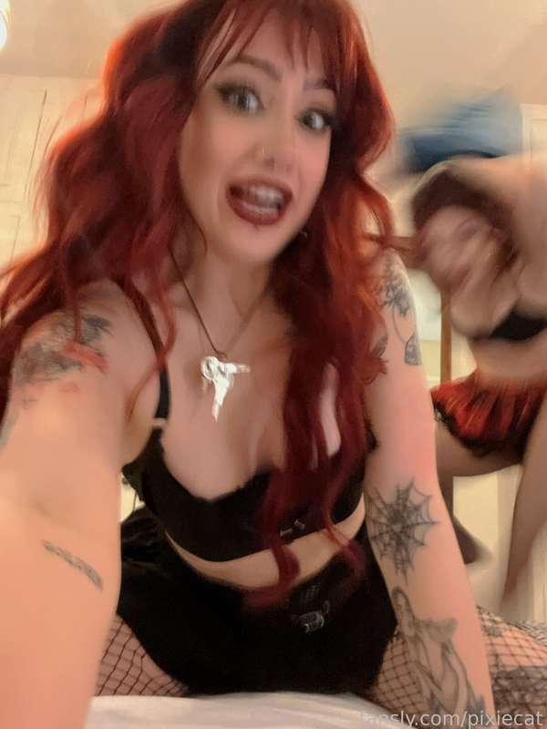 pixiecat image #10
