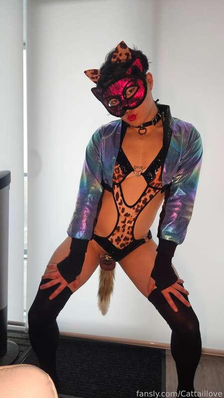 cattaillove image #3