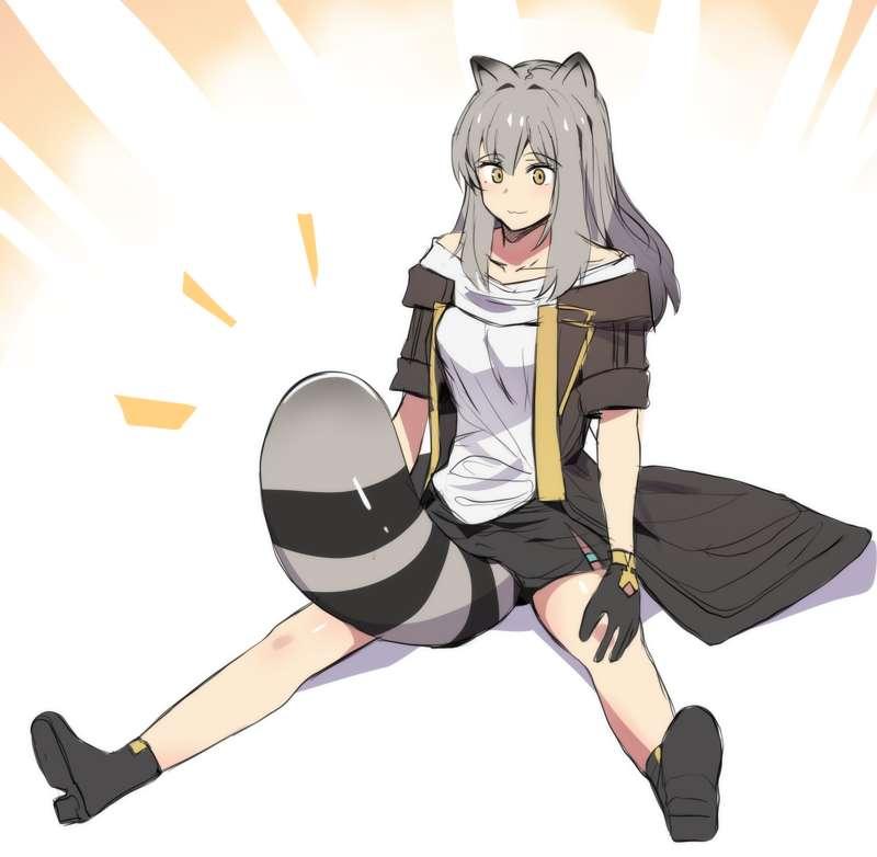 Raccoon Activated