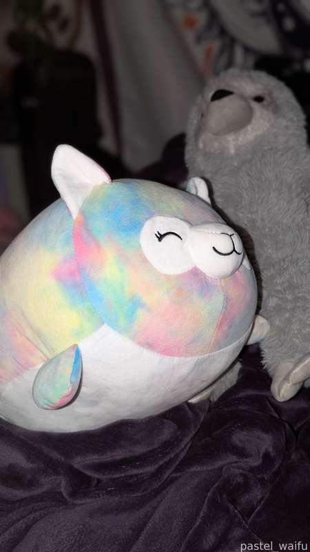 new friend! 