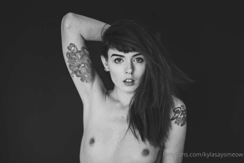 kylasaysmeow image #7