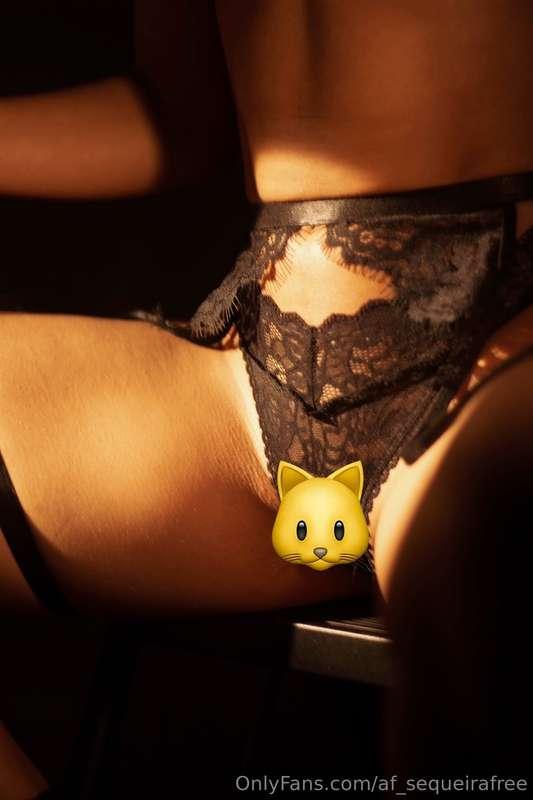 af_sequeirafree image #1