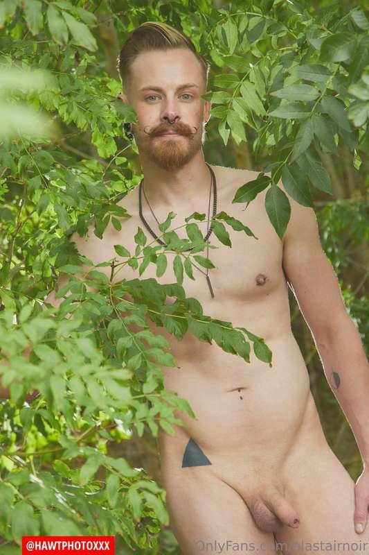 alastairnoir image #14