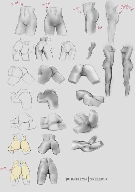 Female Hip (Anatomy Studies) 