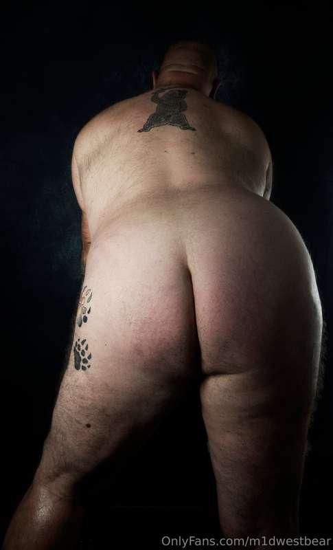 m1dwestbear image #21
