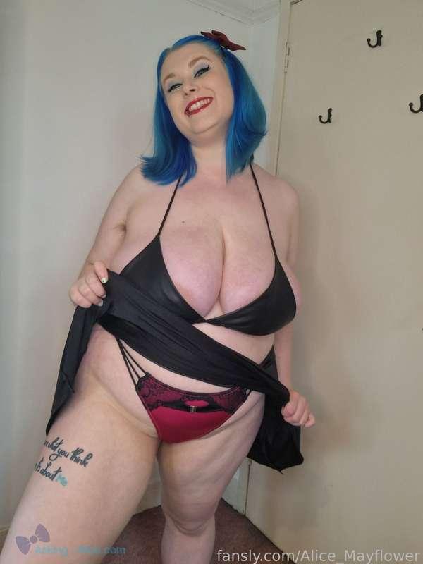 alice_mayflower image #7